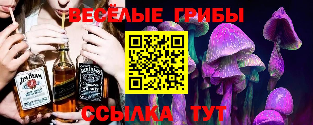 Псилоцибиновые грибы прущие грибы  Вход с VPN  Красногорск 